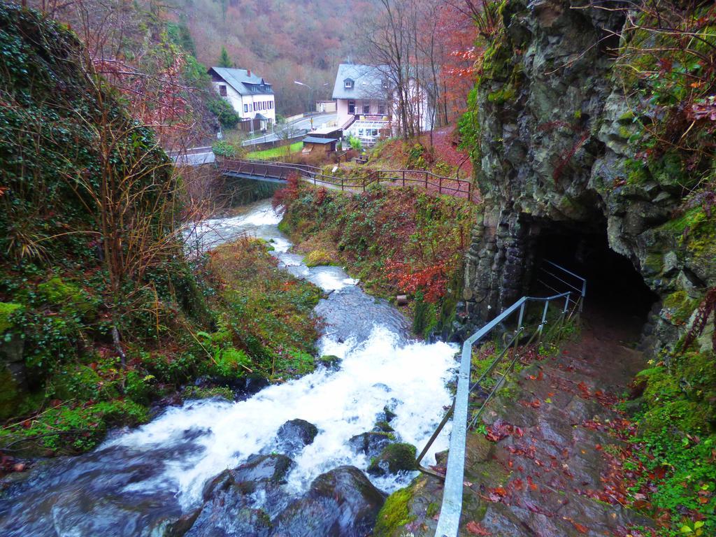 Ferienwohnungen Schenk Schmitz Bad Bertrich Exterior photo